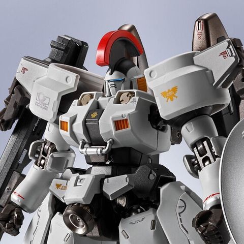 METAL ROBOT魂 ＜SIDE MS＞ トールギス
