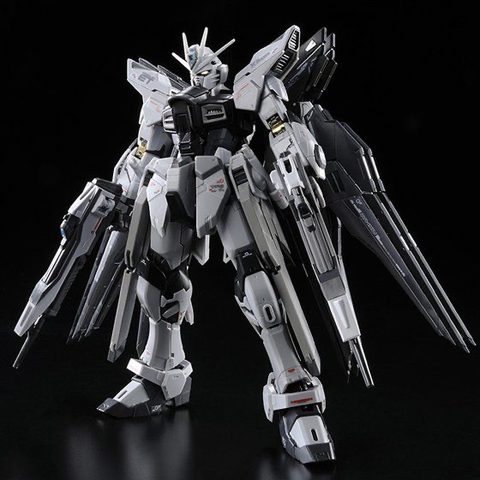 RG 1/144 ストライクフリーダムガンダム ディアクティブモード
