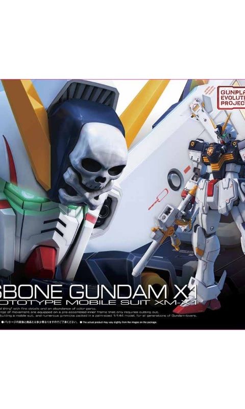 クロスボーン・ガンダムX1