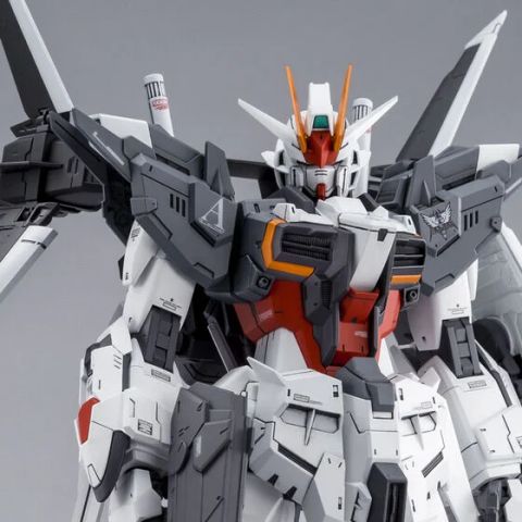 MG 1/100 ガンダムエクスインパルス