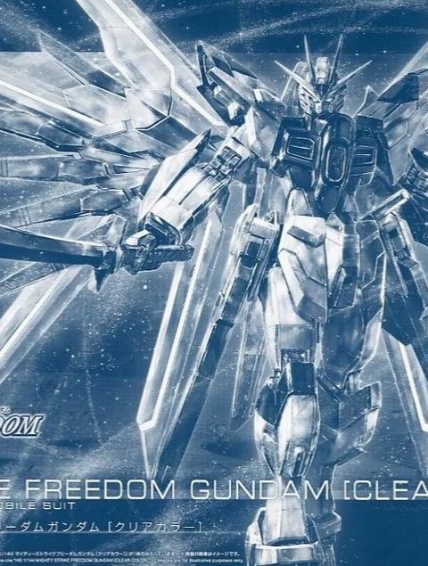 HG 1/144 マイティーストライクフリーダムガンダム [クリアカラー]