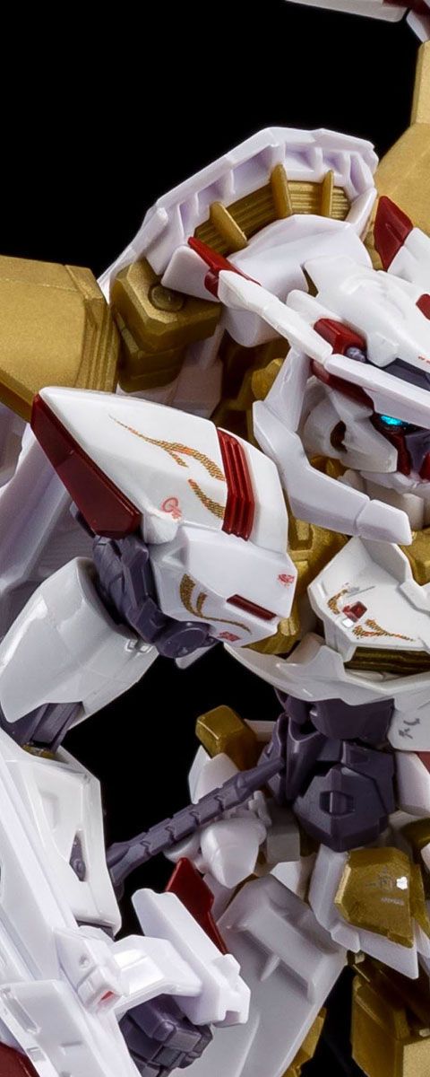 RG 1/144 ガンダムアストレイ ゴールドフレーム天（アマツ）ハナ