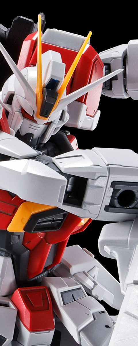 RG 1/144 ソードインパルスガンダム