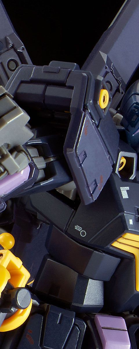 RG 1/144 クロスボーン・ガンダムX2