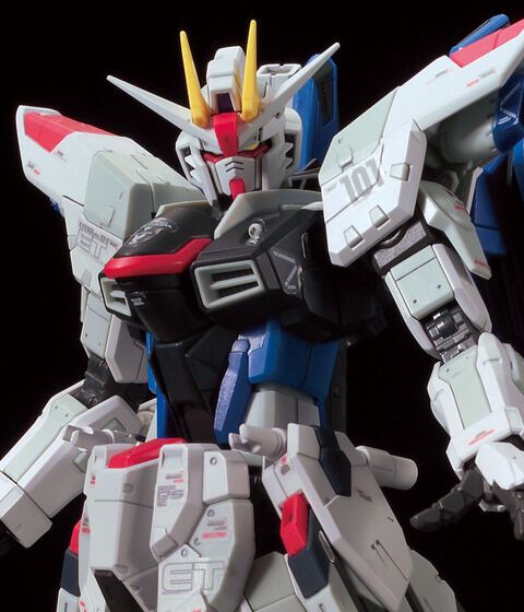RG 1/144 ガンダムベース限定 ZGMF-X10A フリーダムガンダム Ver.GCP
