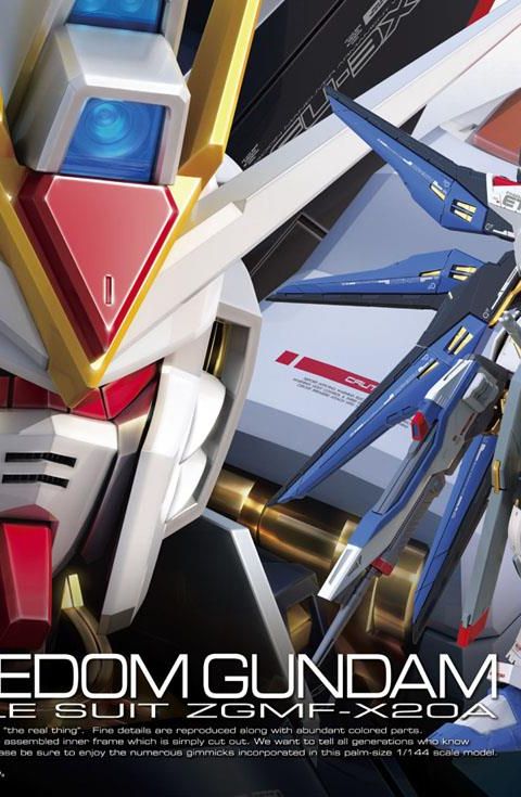 RG 1/144 ストライクフリーダムガンダム