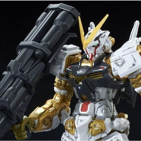 RG 1/144 ガンダムアストレイゴールドフレーム 