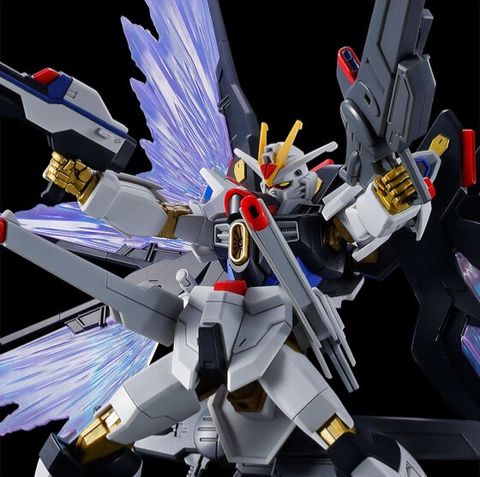 HG 1/144 ストライクフリーダムガンダム弍式&光の翼エフェクトセット
