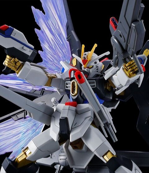 HG 1/144 ストライクフリーダムガンダム弍式&光の翼エフェクトセット