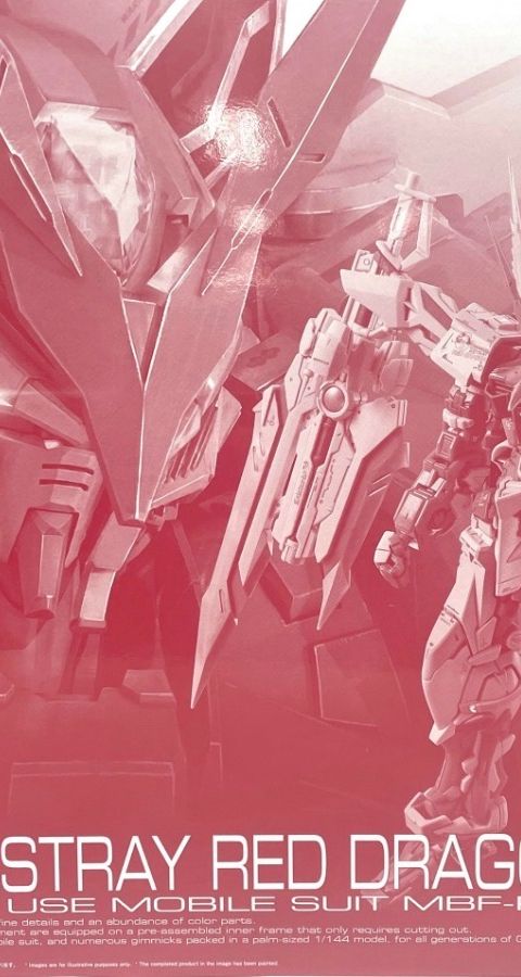 RG 1/144 ガンダムアストレイ レッドドラゴン