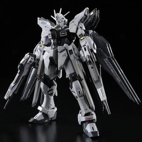 RG 1/144 ストライクフリーダムガンダム ディアクティブモード