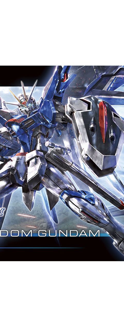 HG 1/144 ライジングフリーダムガンダム