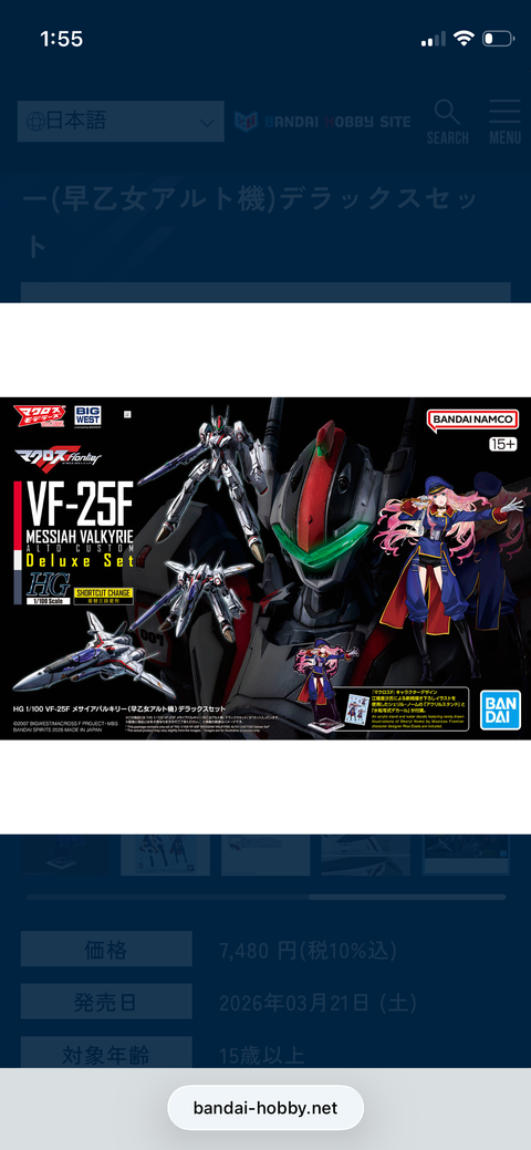 VF-25F メサイアバルキリー(早乙女アルト機)デラックスセット