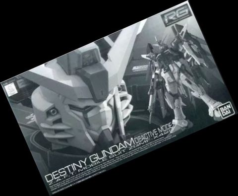 RG 1/144 デスティニーガンダム ディアクティブモード