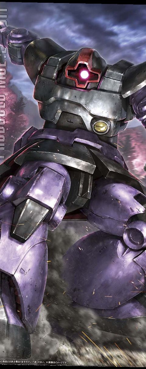 MG 1/100 MS-09 ドム