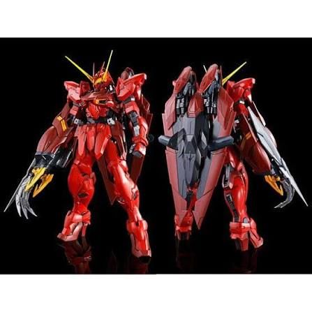 MG 1/100 テスタメントガンダム